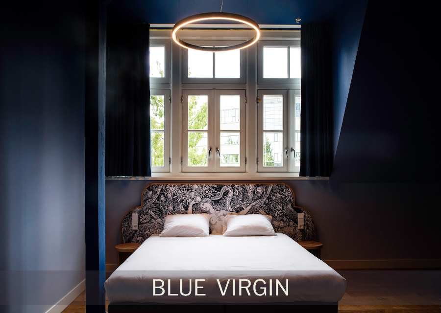 Blue Virgin XXL - Hotel Mariënhage Eindhoven Domusdela