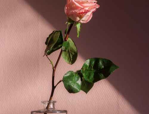 Valentines day